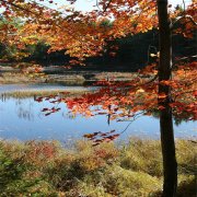 三相电机电流过高的7种情况