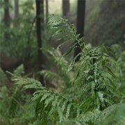 PP市场行情整理 商家心态迷茫