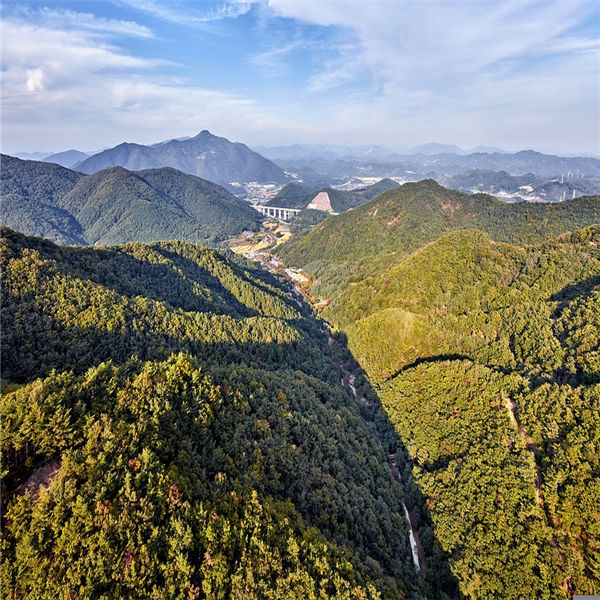 电线电缆产品主要分哪五大类？