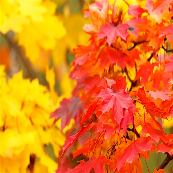 未来十年智能电网技术预计花费3.7万亿