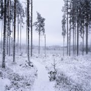 深圳发电机租赁环氧塑钢胶泥有哪些特性？