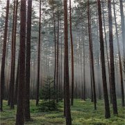 深圳柴油发电机润滑系统润滑油压力波动产生的故障